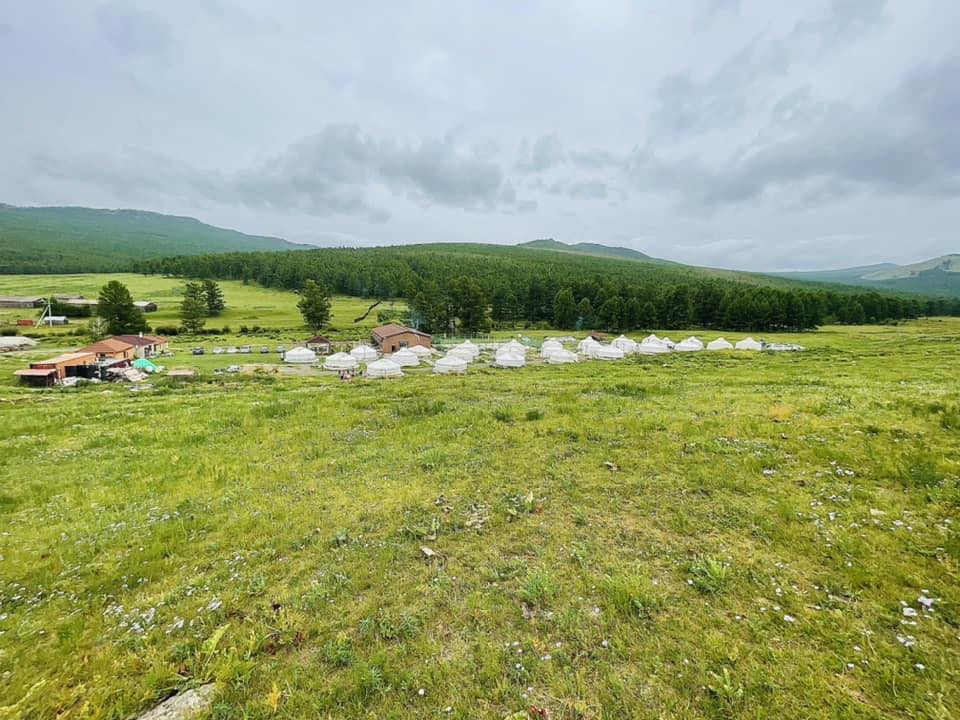 Цэцээ гүн амралтын газар | Tsetsee gun camp - Image 6