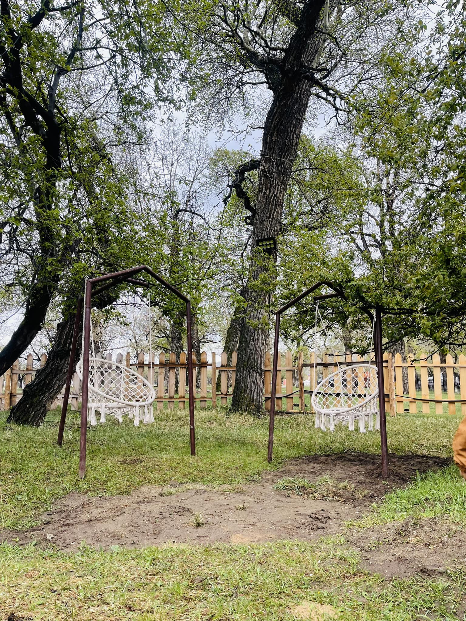 Литл вүүдс | Little woods - Image 6