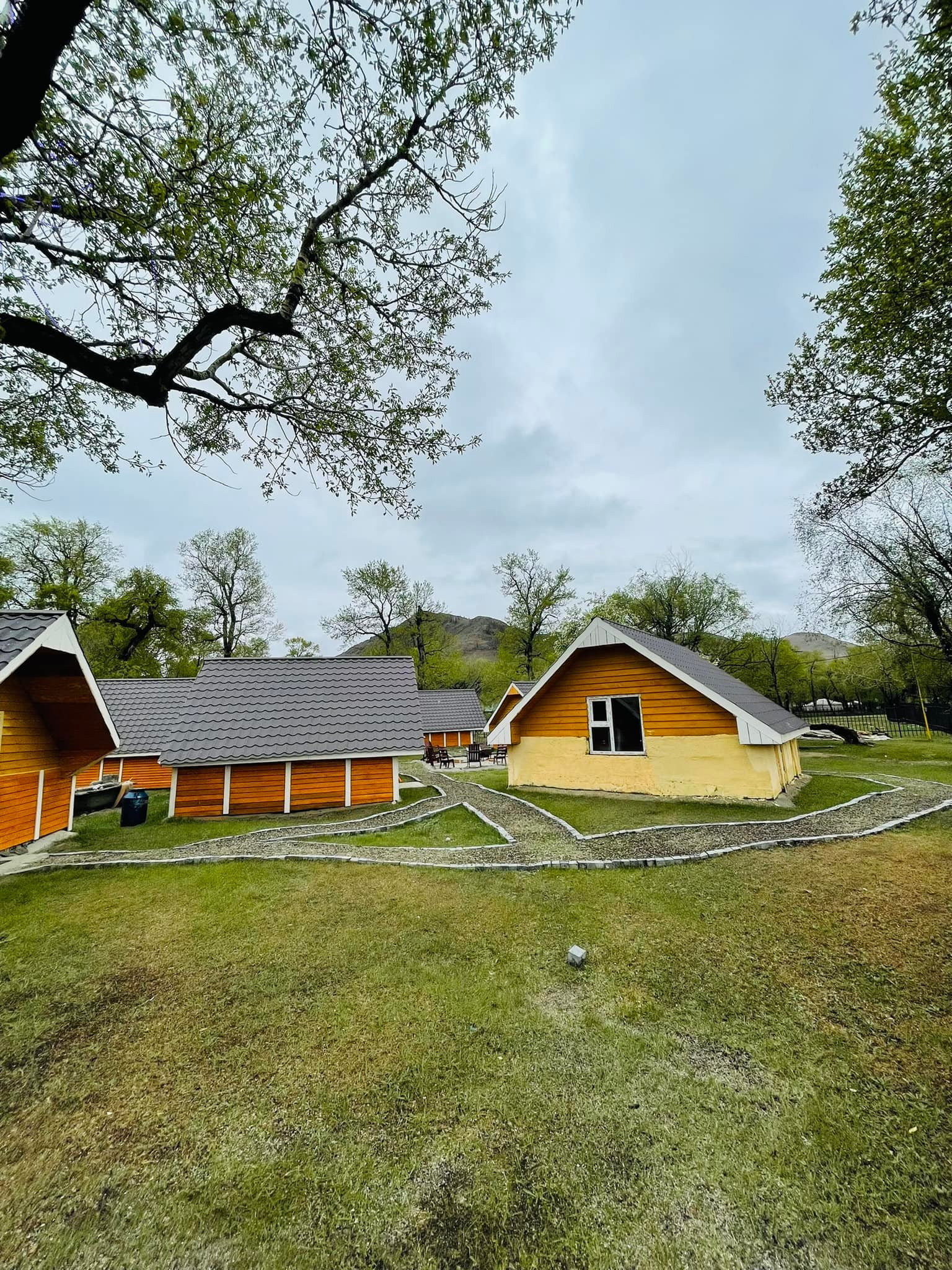 Литл вүүдс | Little woods - Image 3