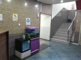 Мандарин зочид буудал | Mandarin hotel - Image 2