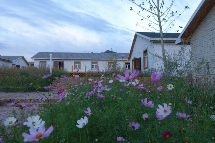 Хос Хад Жуулчны Бааз | Khos Khad Tourist Camp - Image 10