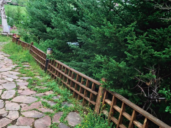 Ойн Жим Амралтын Газар | Oin Jim Camp - Image 2