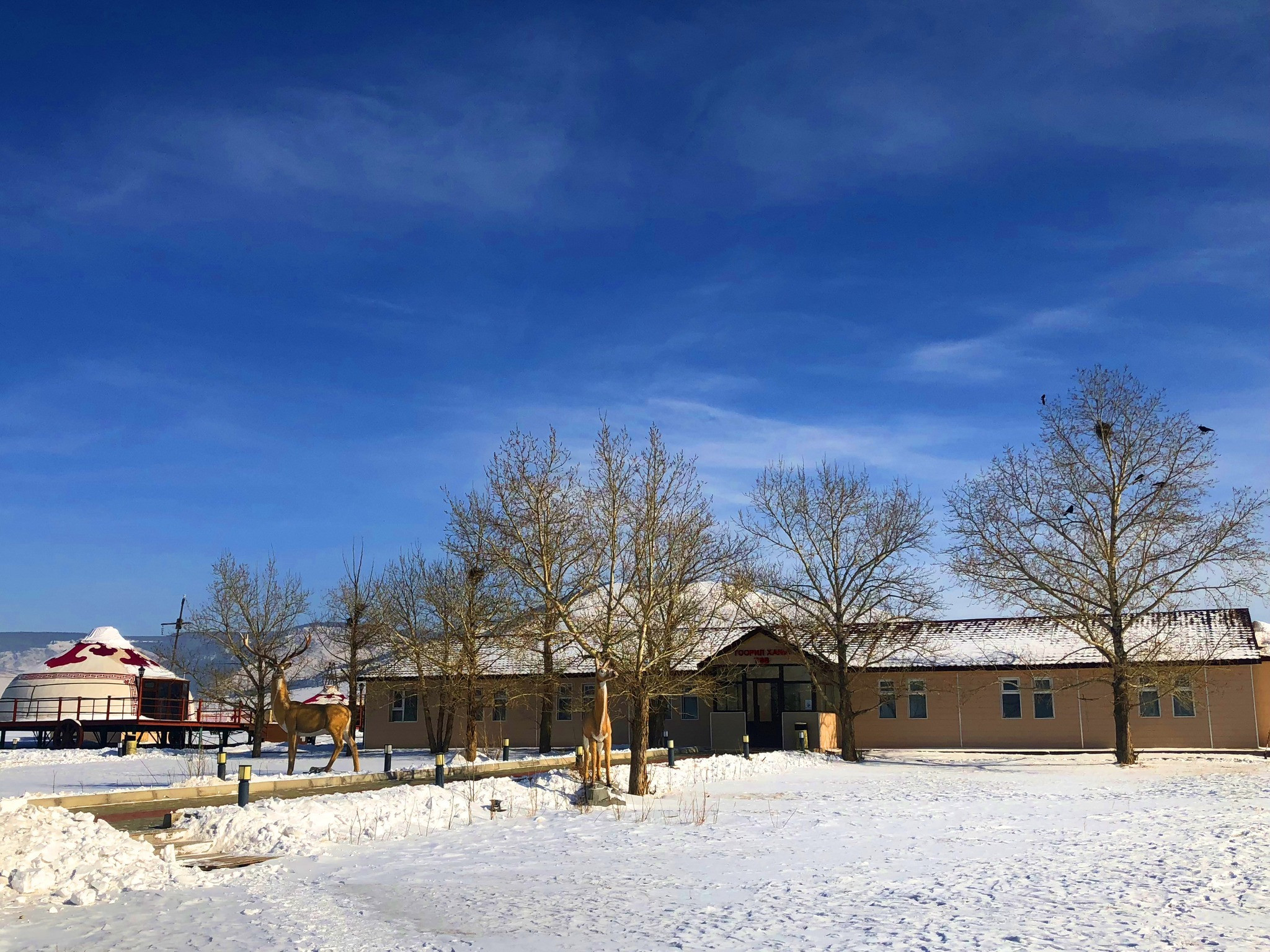 Тоорил Ханы Хүрээ Жуулчны Бааз | Tooril Khanii Khuree Tourist Camp - Image 13