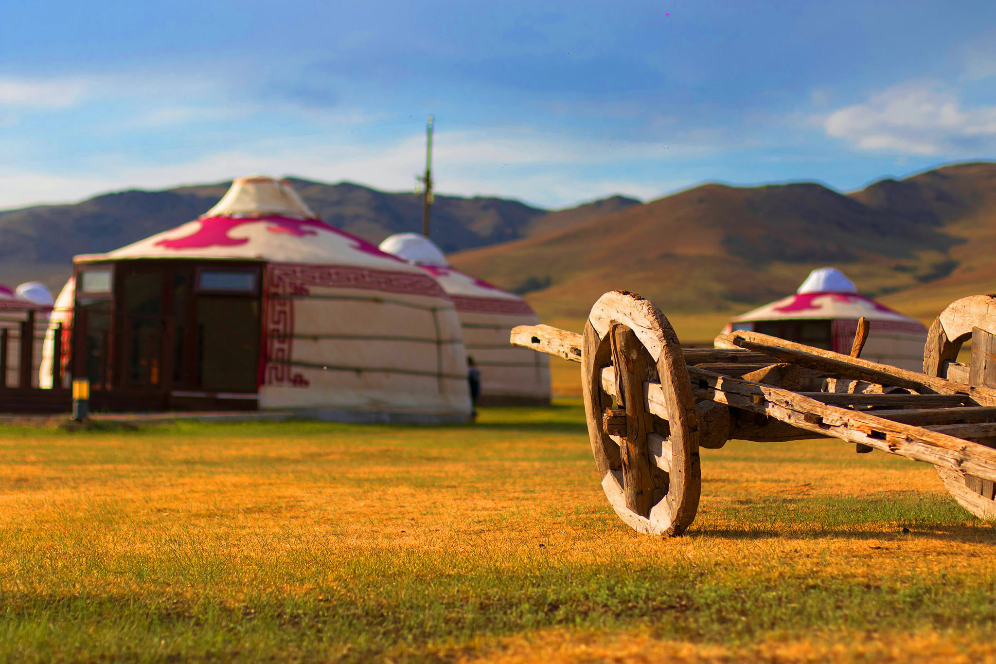 Тоорил Ханы Хүрээ Жуулчны Бааз | Tooril Khanii Khuree Tourist Camp - Image 4