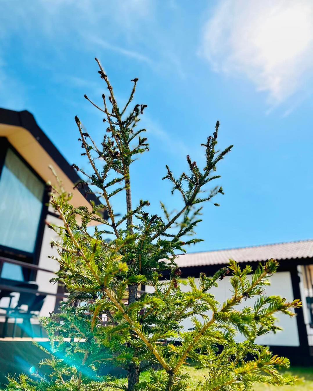 Эко Тэрэлж Жуулчны бааз | Eco Terelj Tourist Camp - Image 2