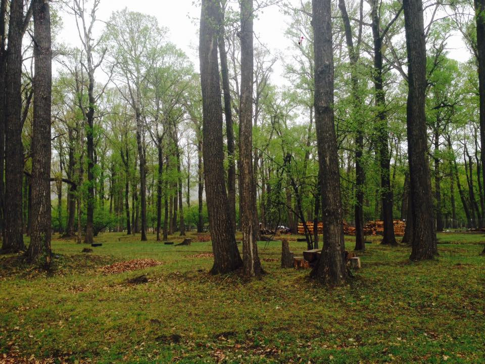 Тэрэлж Мойл Жуулчны Бааз | Terelj Moil Camp - Image 4