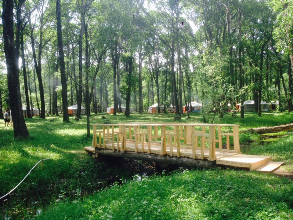 Тэрэлж Мойл Жуулчны Бааз | Terelj Moil Camp - Image 3