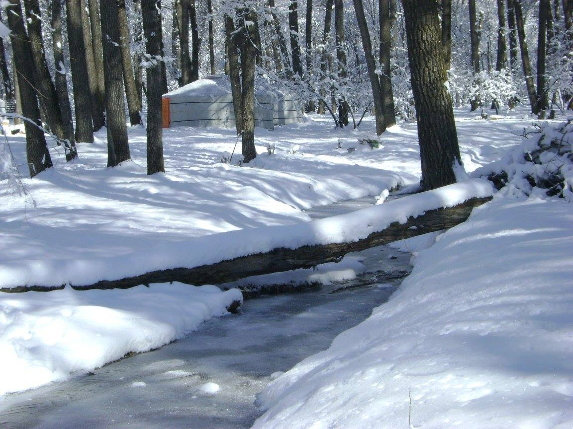 Тэрэлж Мойл Жуулчны Бааз | Terelj Moil Camp - Image 10