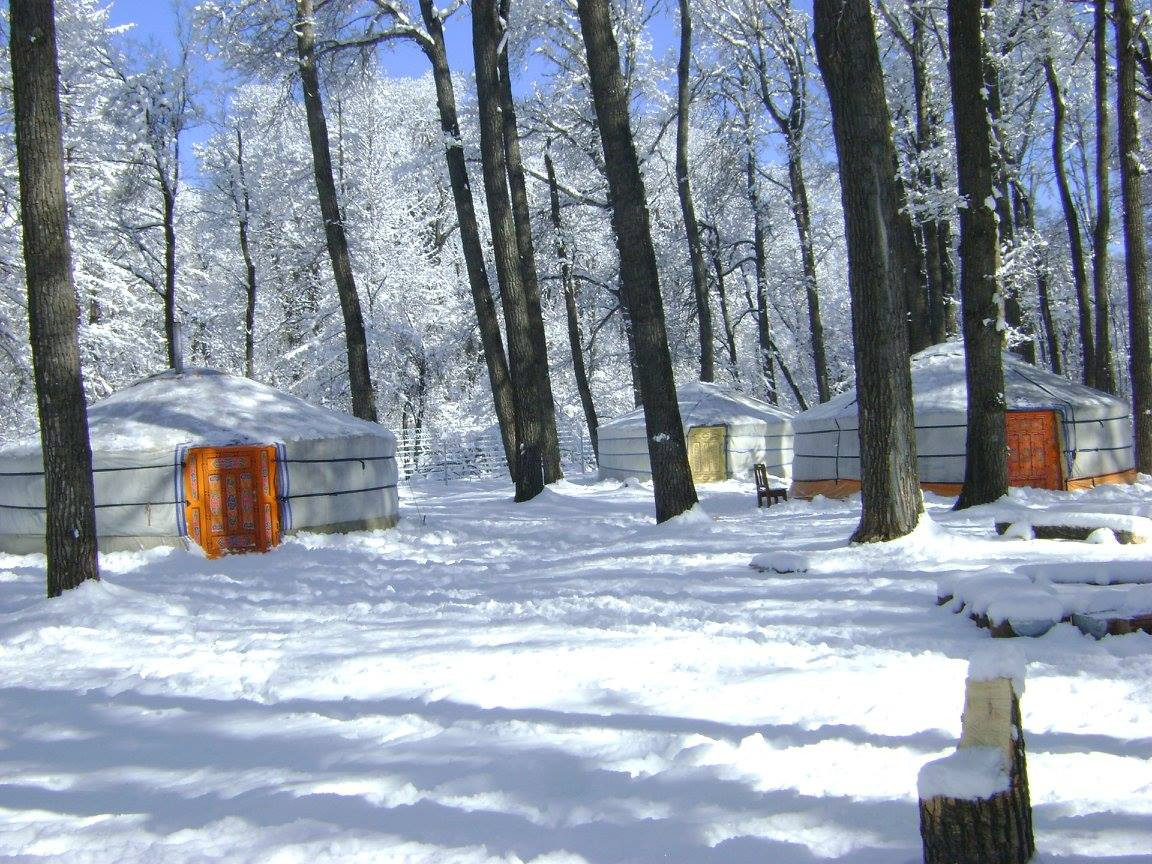 Тэрэлж Мойл Жуулчны Бааз | Terelj Moil Camp - Image 9