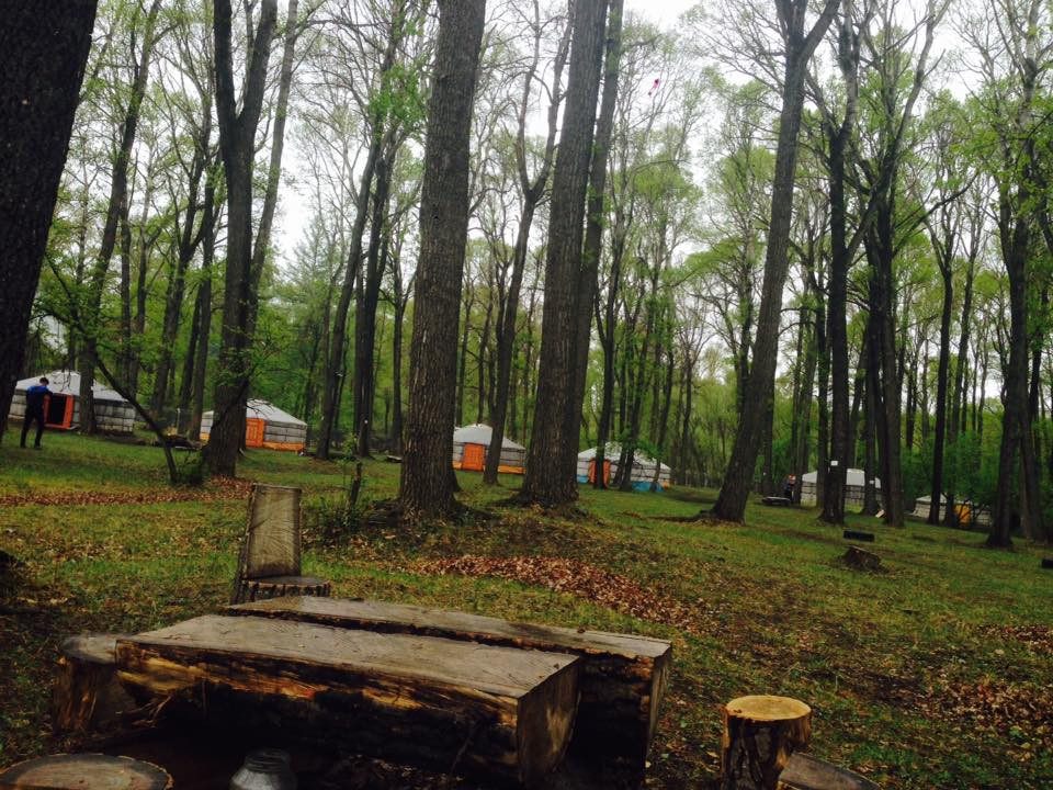 Тэрэлж Мойл Жуулчны Бааз | Terelj Moil Camp - Image 7