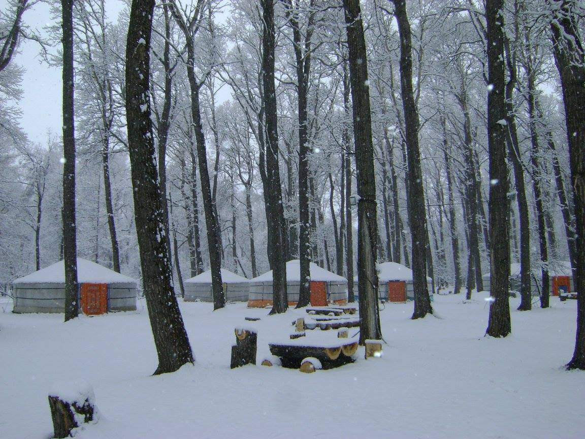 Тэрэлж Мойл Жуулчны Бааз | Terelj Moil Camp - Image 11