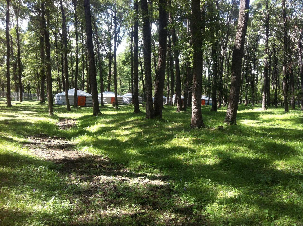 Тэрэлж Мойл Жуулчны Бааз | Terelj Moil Camp - Image 8
