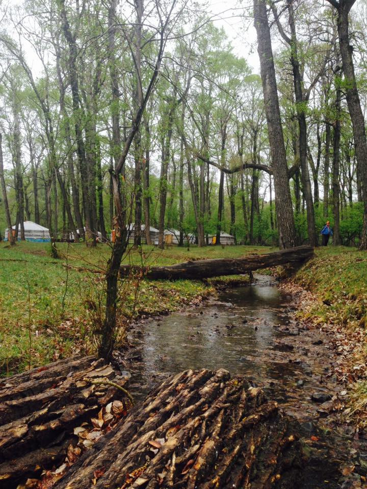 Тэрэлж Мойл Жуулчны Бааз | Terelj Moil Camp - Image 6