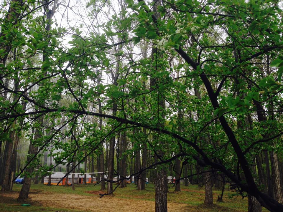 Тэрэлж Мойл Жуулчны Бааз | Terelj Moil Camp - Image 5