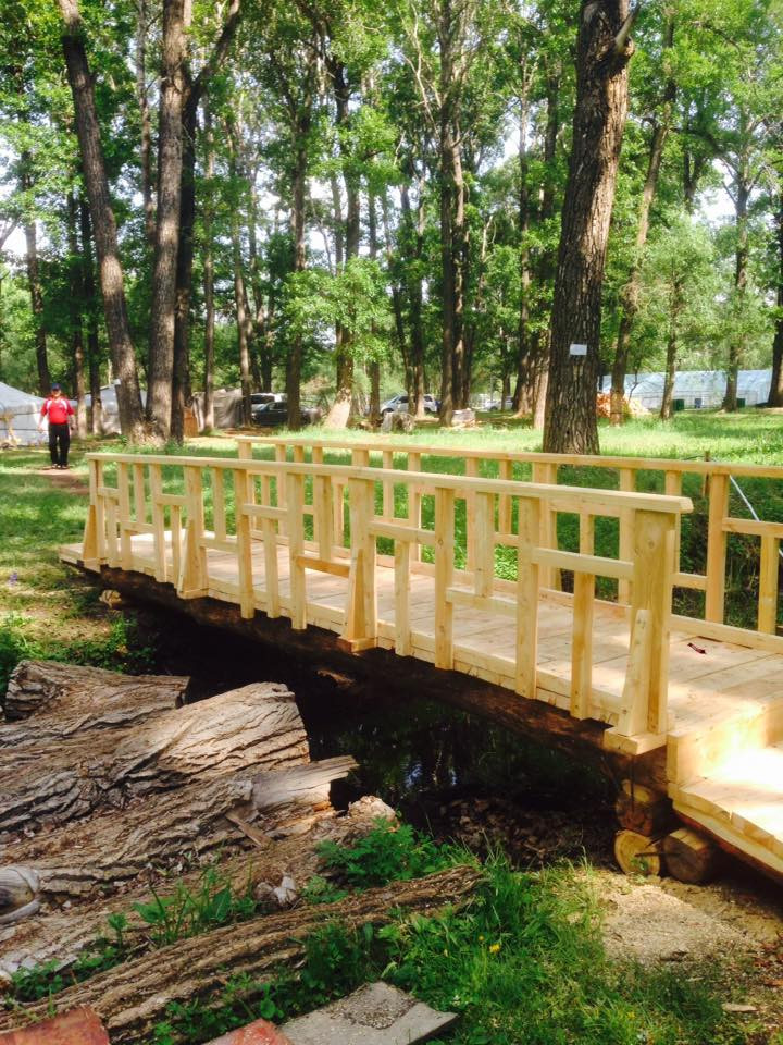 Тэрэлж Мойл Жуулчны Бааз | Terelj Moil Camp - Image 2