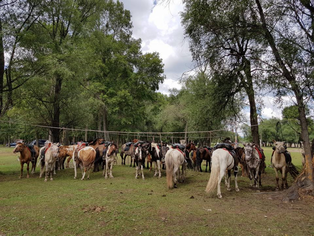 Экстрим Фамили Голын Эргийн Амралтын газар | Extreme Family Camp - Image 5