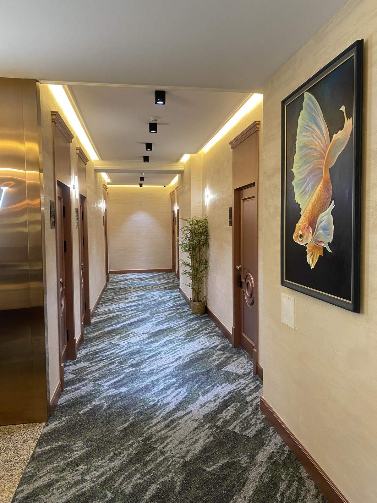 Single room - Image 6