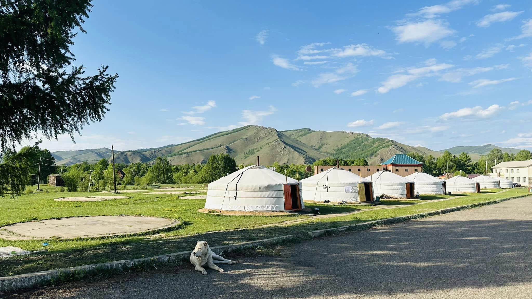 Тэрэлж саран амралтын газар / Terelj saran resort - Image 2