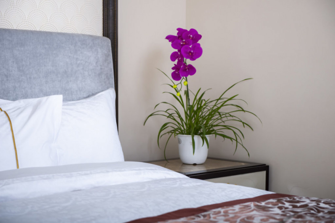 Мика зочид буудал | Mika hotel - Image 8