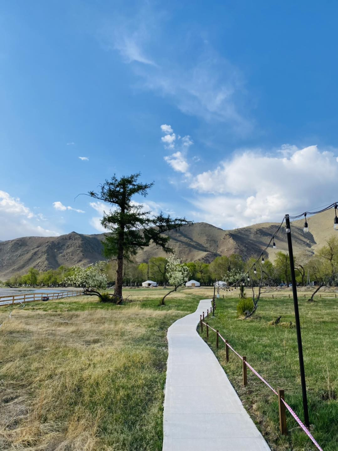 Грассланд ресорт | Grassland family spot - Image 13