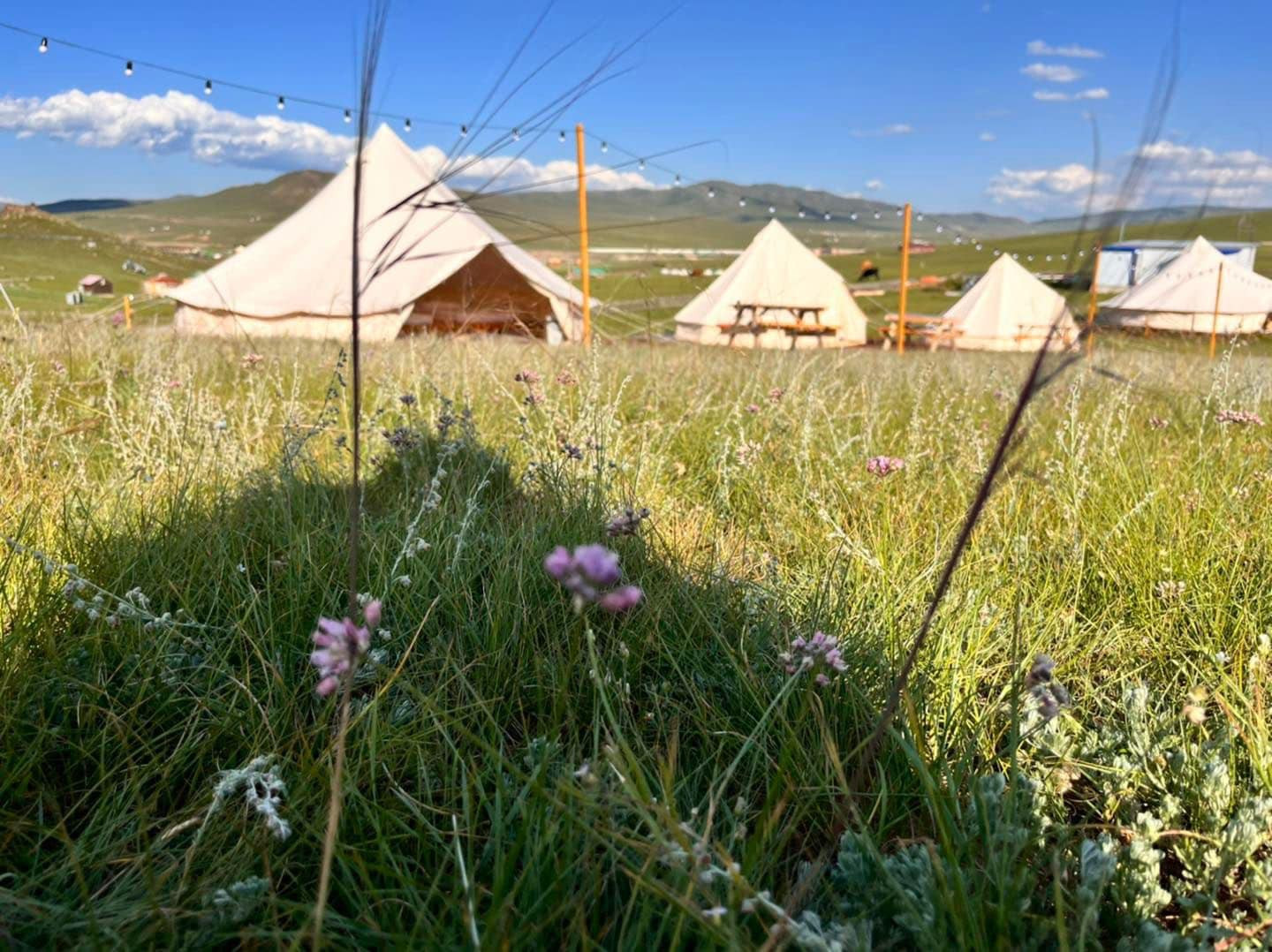 Том дугуй майхан - Image 1