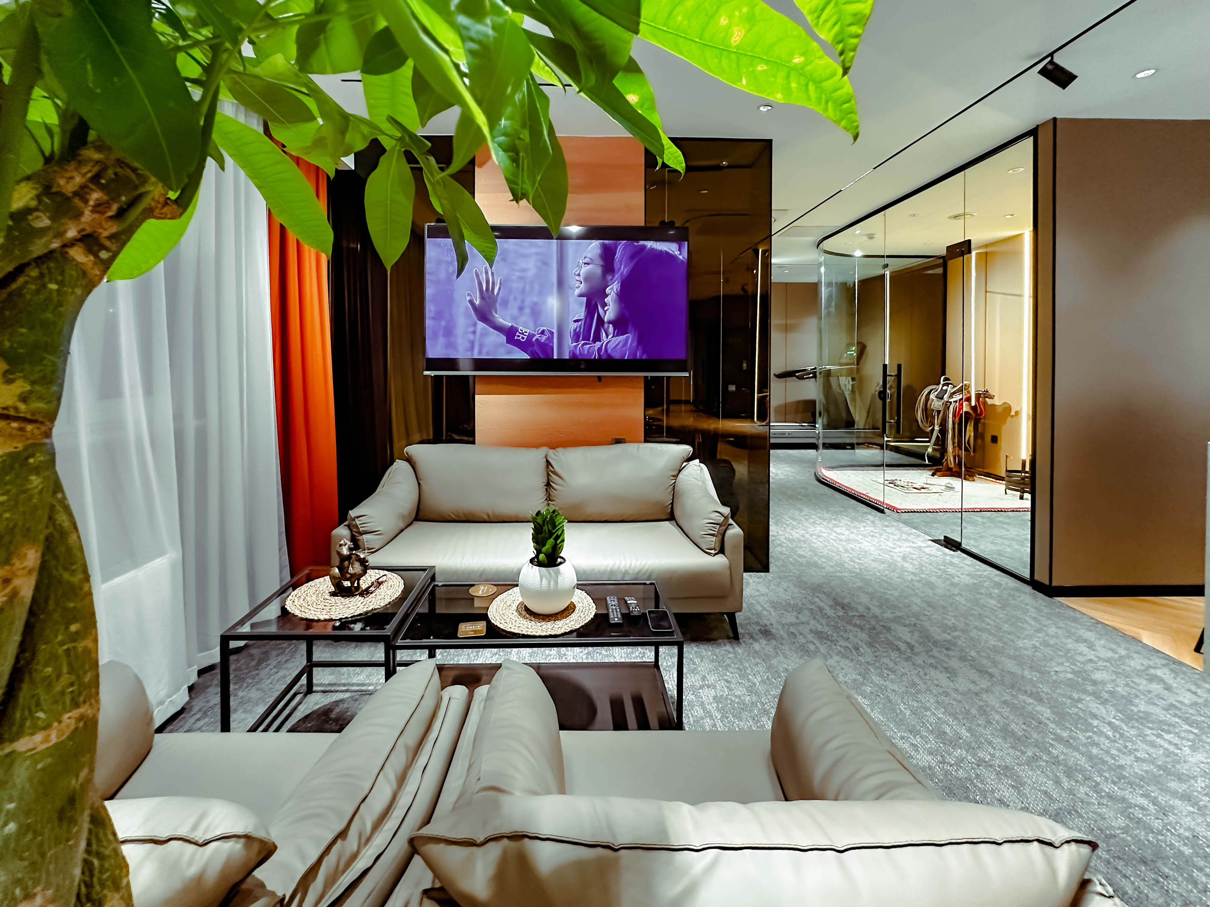 Double capsule - Image 3