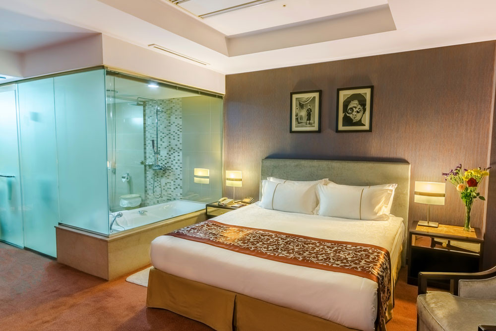 Эксекютив Твин Өрөө - Image 3