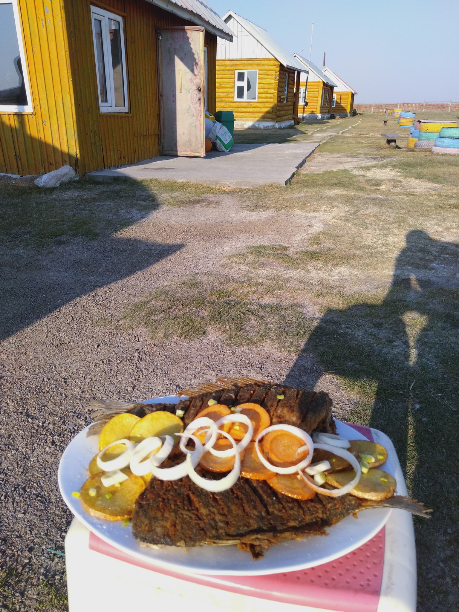 Ногоон Төгөл Амралтын Газар