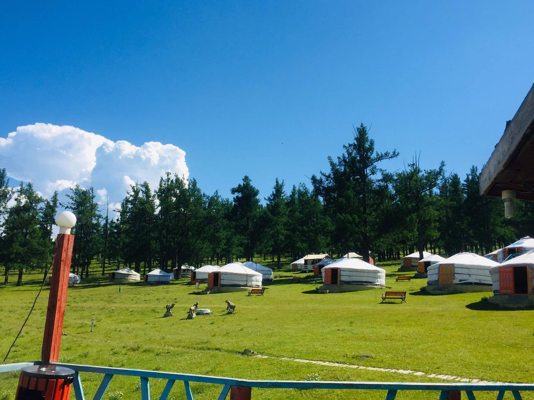 Хавтгай мод жуулчны бааз | Khavtgai Mod Tourist Camp — зочид буудал, амралтын газар