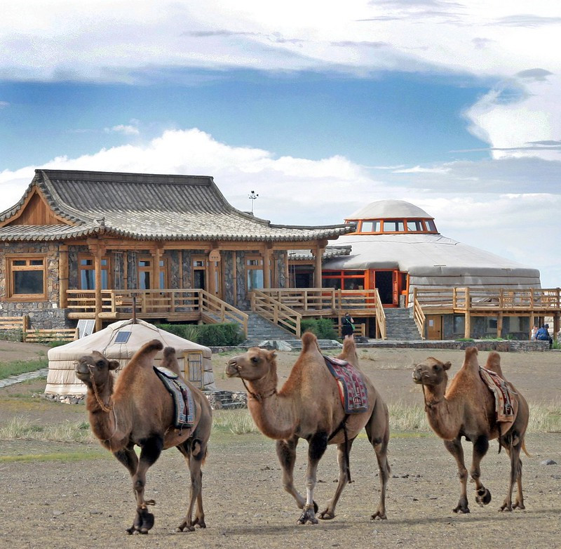 Говийн Гурван Тэмээ Жуулчны Бааз | The Three Camel Lodge — зочид буудал, амралтын газар