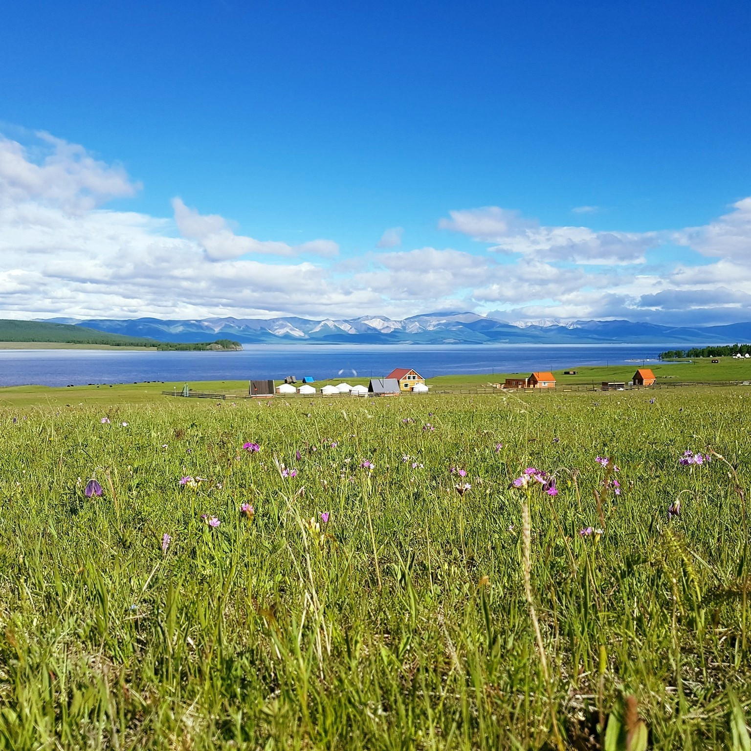 Цагаан уул амралтын газар | Edelweiss tourist camp — зочид буудал, амралтын газар