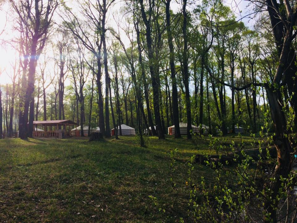 Тэрэлж Мойл Жуулчны Бааз | Terelj Moil Camp — зочид буудал, амралтын газар